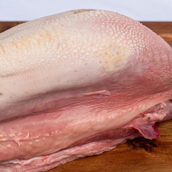 Lengua limpia - Image 2